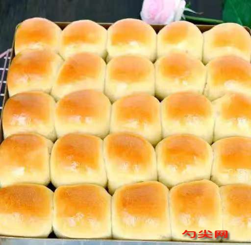 微信图片_20251027102837_2739_5