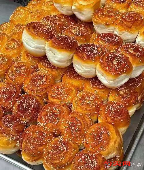 微信图片_20251027103910_2740_5