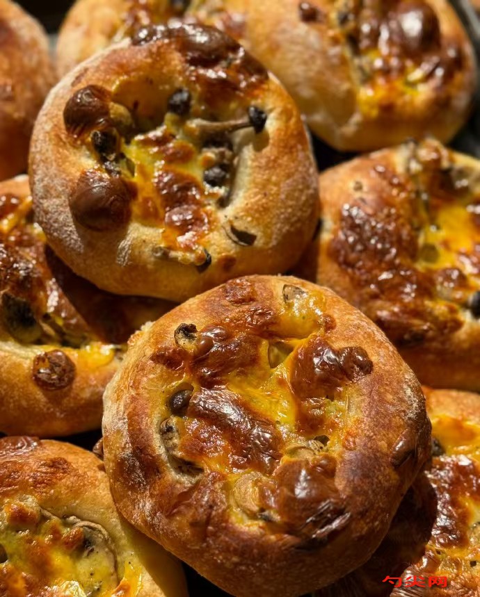 微信图片_20251027150350_2757_5