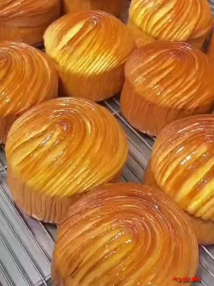 微信图片_20251027150647_2758_5