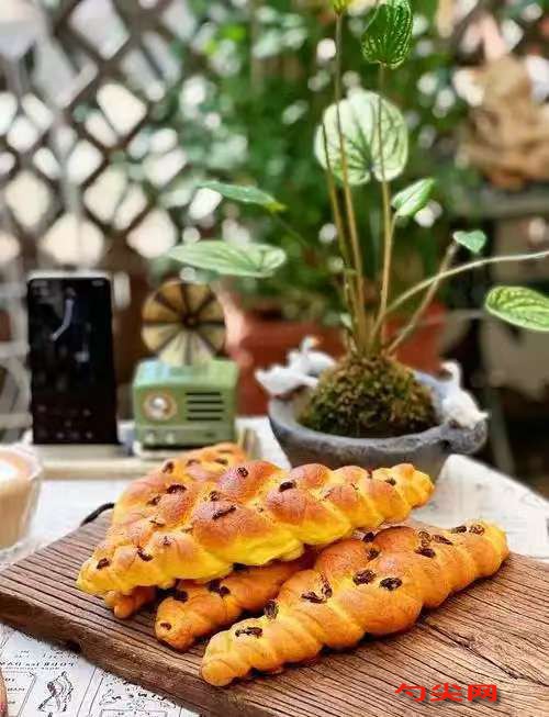 微信图片_20251029132440_2823_5