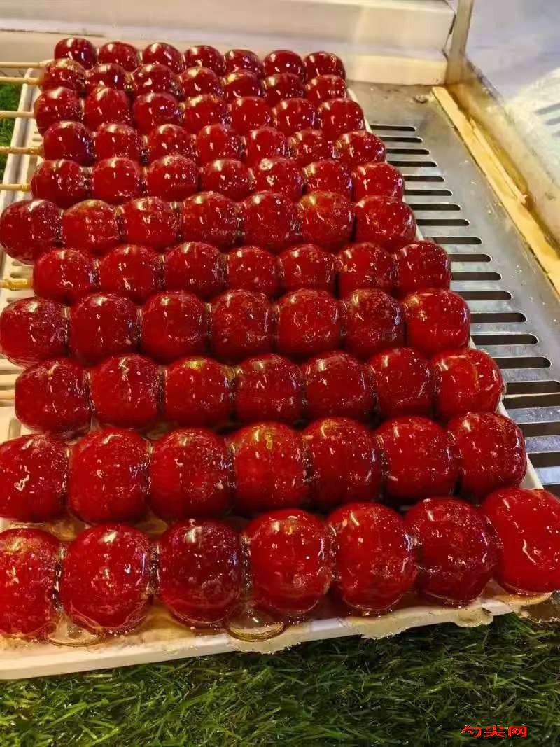 微信图片_20251110093144_2951_5