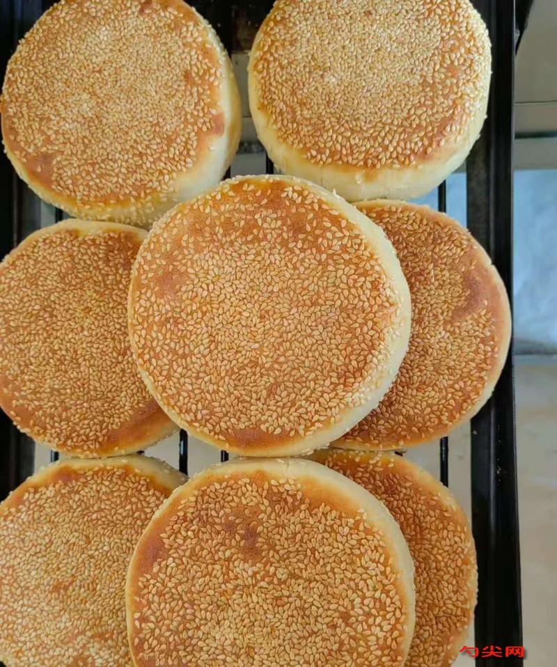 微信图片_20251110101803_2960_5