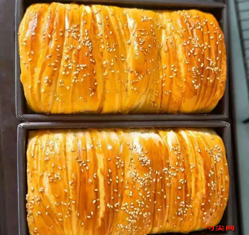 微信图片_20251114151614_295_223