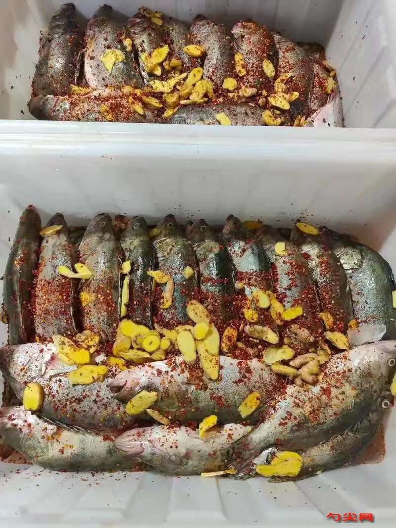 微信图片_20251114151614_295_223