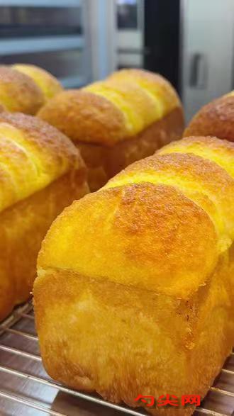 微信图片_20251117124449_470_223