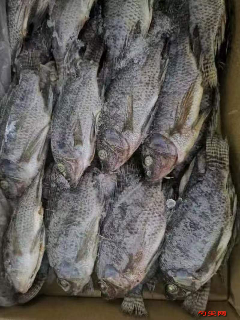 微信图片_20251117124449_470_223