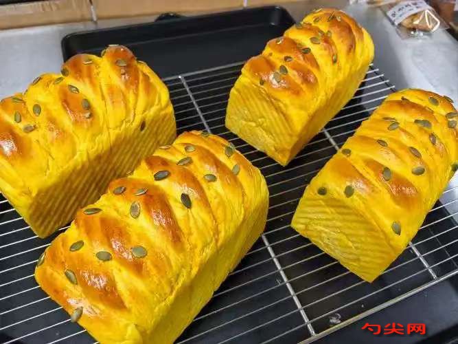 微信图片_20251117124449_470_223