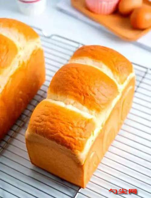 微信图片_20251117124449_470_223