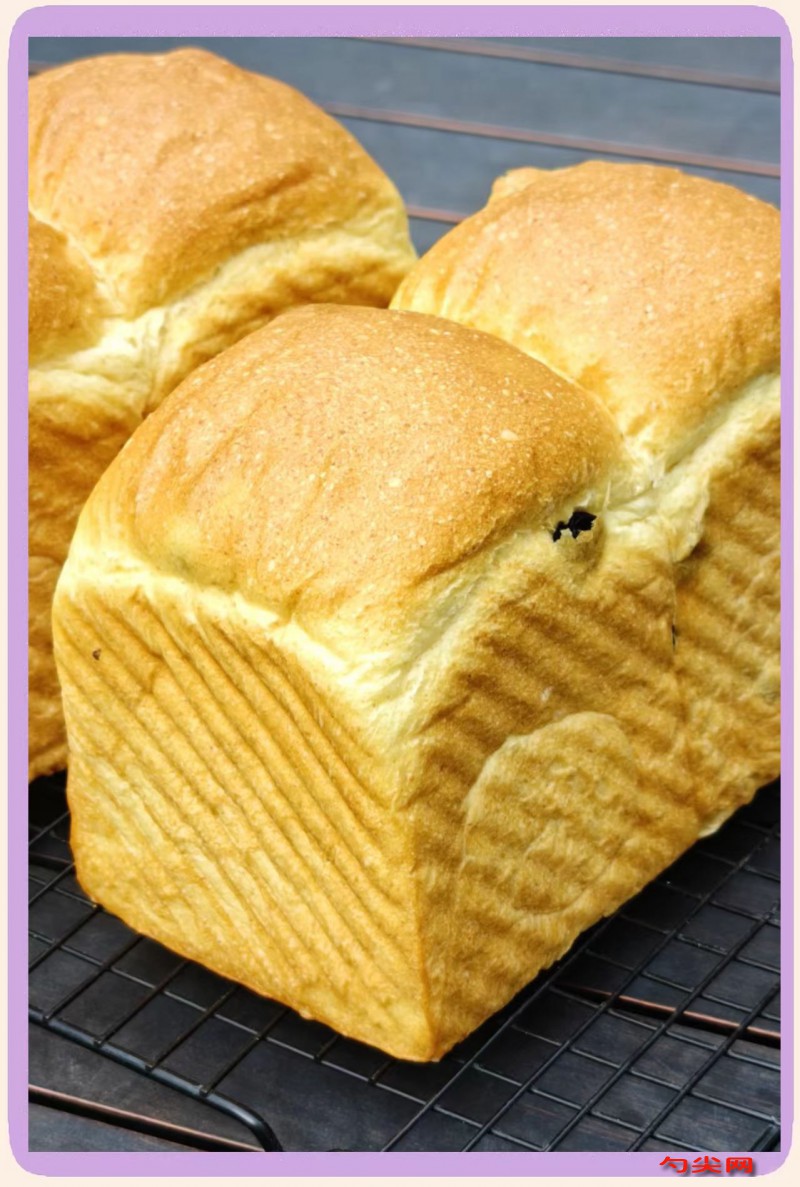 微信图片_20251119115325_3262_5