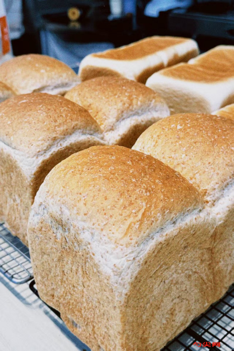 微信图片_20251119115325_3262_5