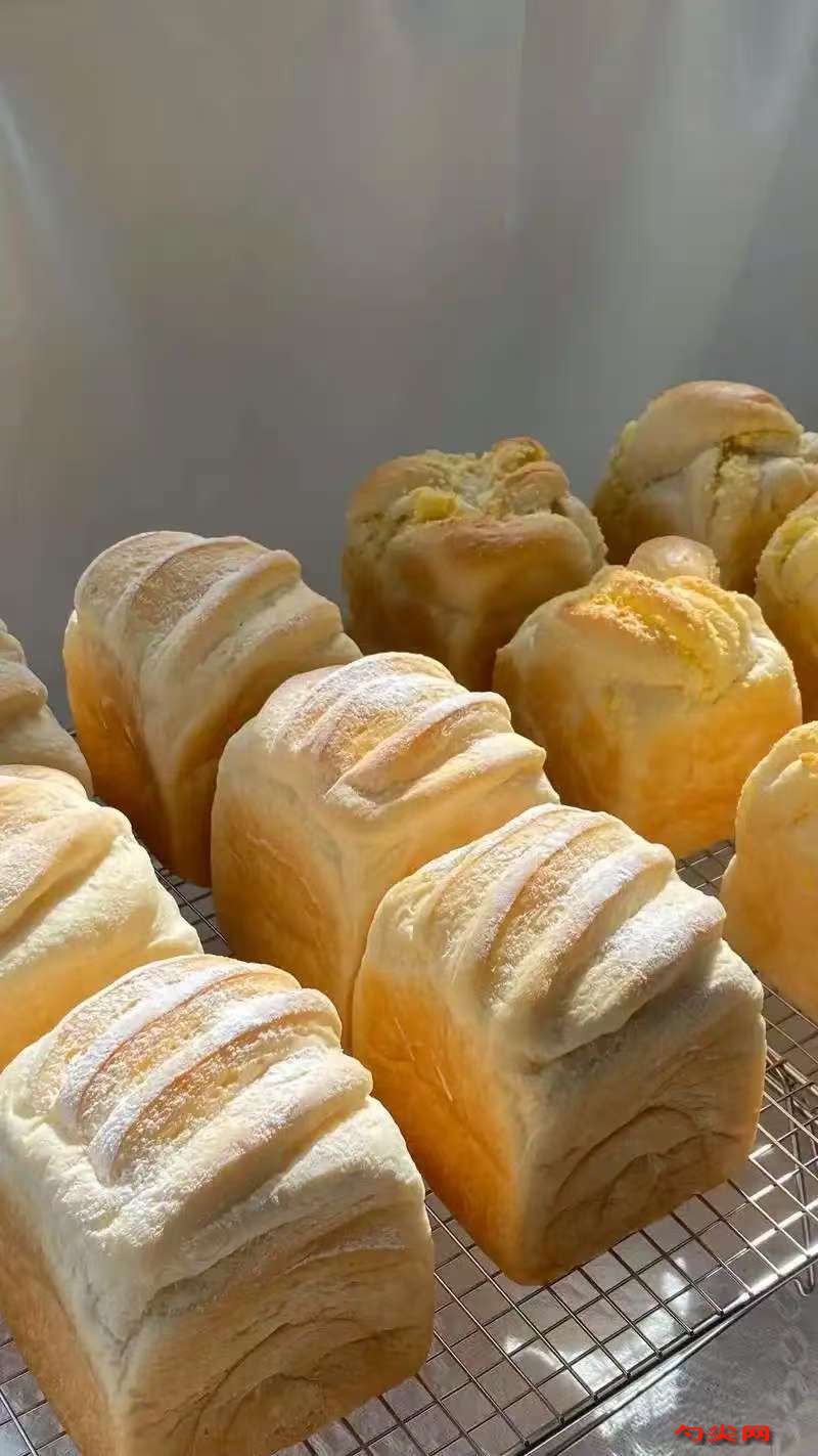 微信图片_20251219133935_50_5