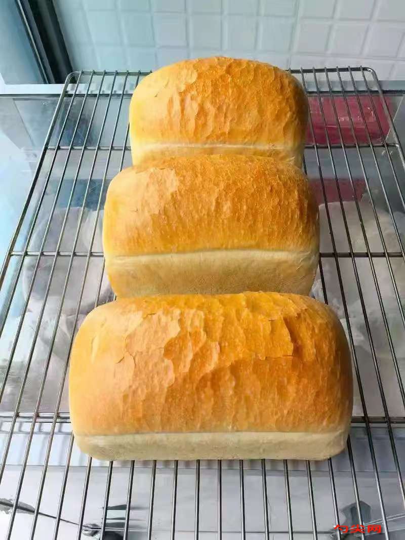 微信图片_20251219133935_50_5