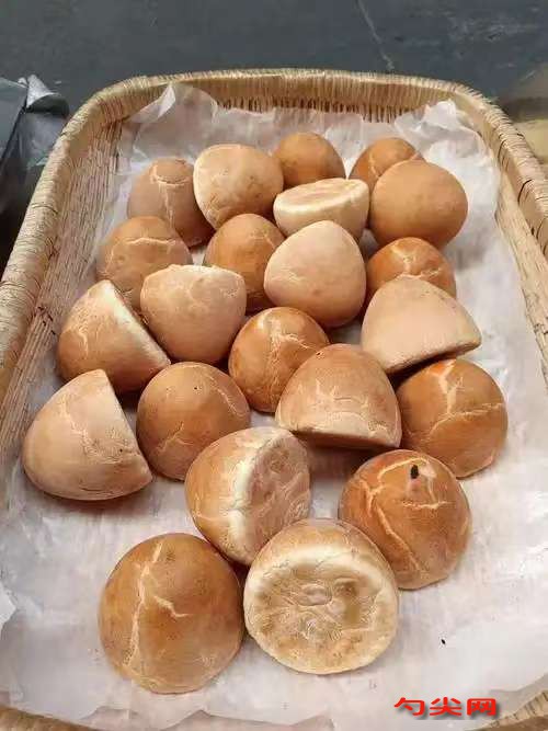 微信图片_20251219133935_50_5