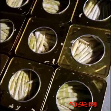 小竹笋罐头