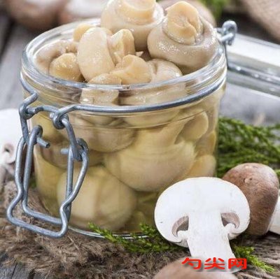 蘑菇罐头