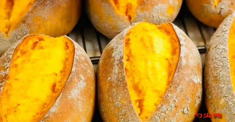 微信图片_20251224115229